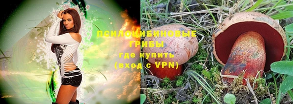 МДПВ Михайловка